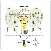 NetProber 