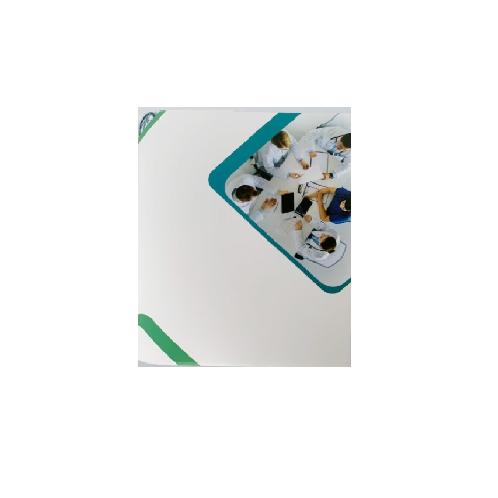 full image PILGRIMTRADE Discharge Folders Hospital 2 Pockets Generic V2 Medical Poly Document Folders 2 Pockets